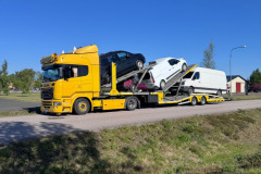 schaarschmidt-137